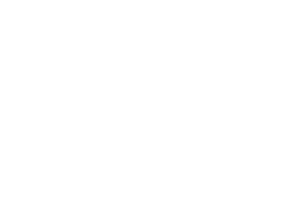 motu ventures